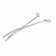 Torture the nipples, toes, penis or labia lips of someone you love with these intimidating 16 inch curved forceps. 